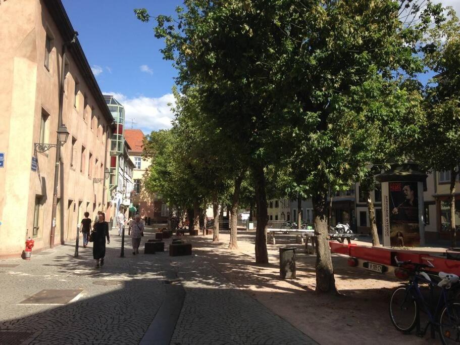 Petite Austerlitz Leilighet Strasbourg Eksteriør bilde